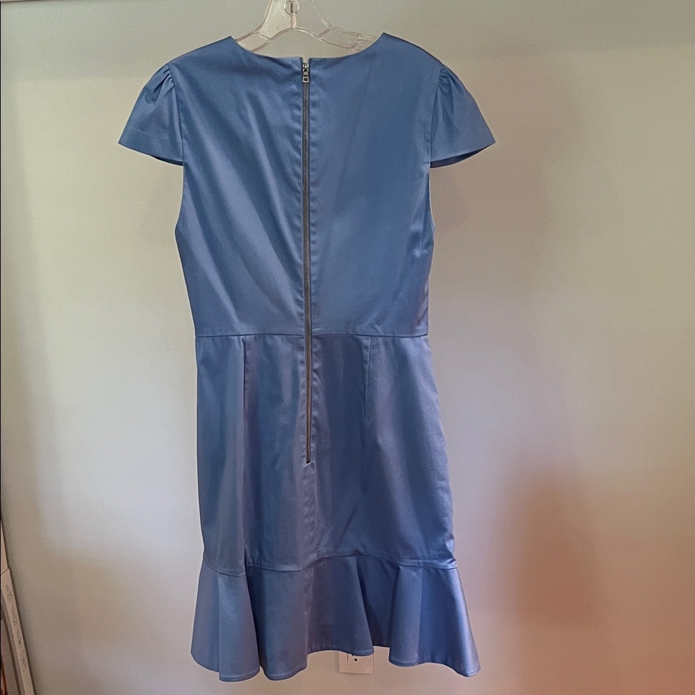 Alice + Olivia Elegant Blue Ruffle Dress with Slightly Puffed Sleeves Size 10 - Picture 3 of 13